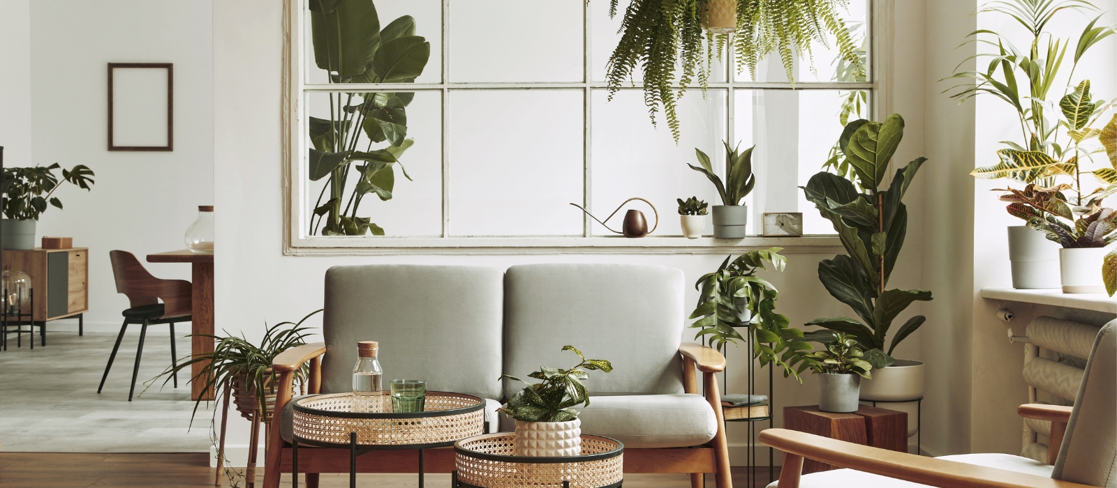 Jakie rośliny do wnętrza? Które najlepiej komponują się w różnych stylach wnętrz?