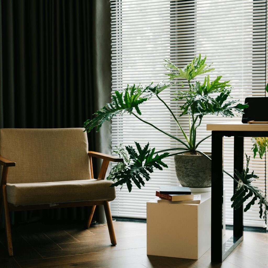 Jakie rośliny najlepiej komponują się w różnych stylach wnętrz?

